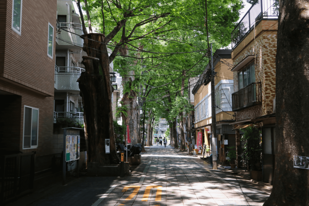 雑司ヶ谷 鬼子母神堂 参道