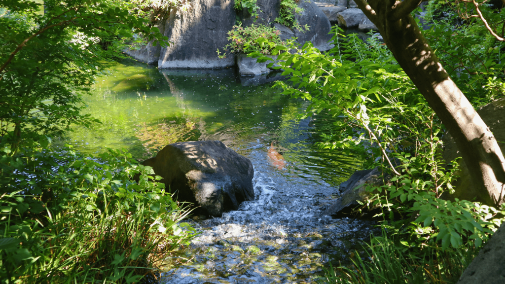 豊島区立目白庭園